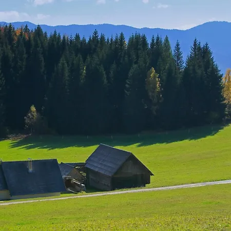 Zoja Prázdninový dům *